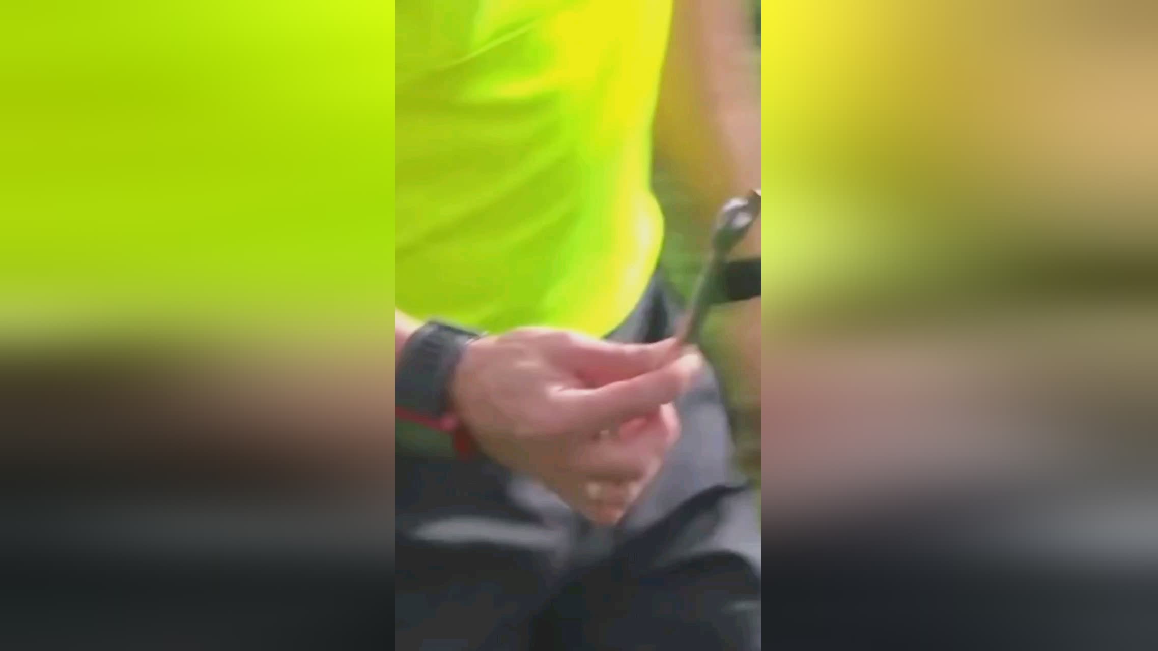 持久战绩